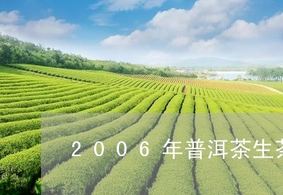 2006年普洱茶生茶价格是多少/2023060270727