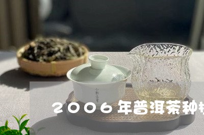 2006年普洱茶种植/2023092569583