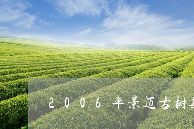 2006年景迈古树茶/2023092163827