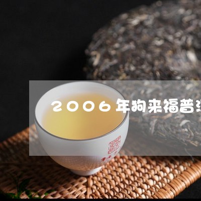 2006年狗来福普洱茶价格/2023052732939