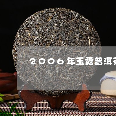 2006年玉霞普洱茶/2023100522807