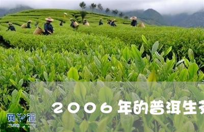 2006年的普洱生茶好喝吗/2023052738493