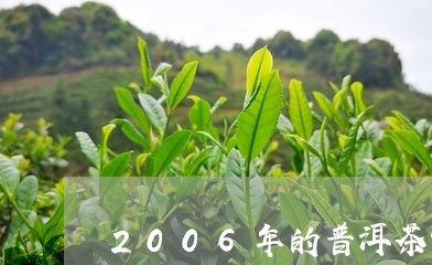 2006年的普洱茶饼/2023100681372