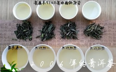 2006年的普洱茶饼价格是多少/2023082840684