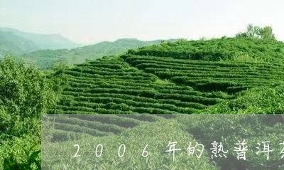 2006年的熟普洱茶什么价/2023052938381