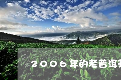 2006年的老普洱茶生茶/2023110140580