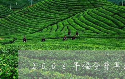 2006年福今普洱茶/2023080214949