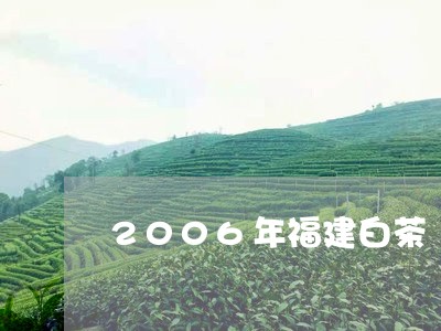 2006年福建白茶/2023091340493