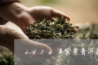 2006年紫芽普洱茶/2023100708585