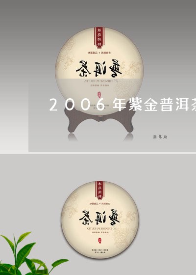 2006年紫金普洱茶/2023080355057