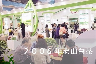 2006年老山白茶/2023071302817