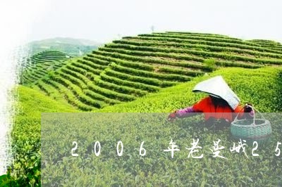 2006年老曼峨250克砖茶/2023053133703