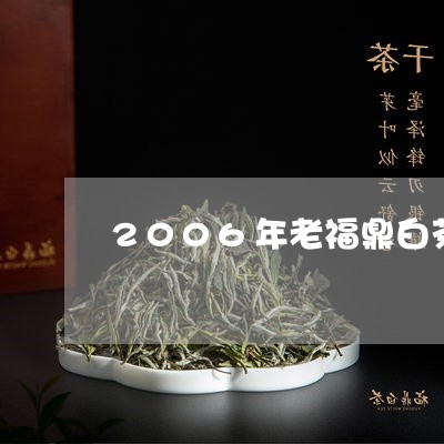 2006年老福鼎白茶/2023120880592