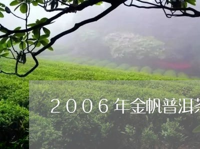 2006年金帆普洱茶/2023072404937