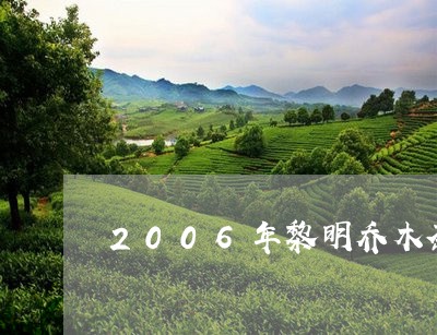 2006年黎明乔木茶王价格/2023052653917