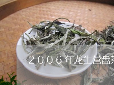 2006年龙生营盘茶/2023092115026