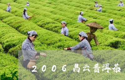 2006昌云普洱茶/2023070997571