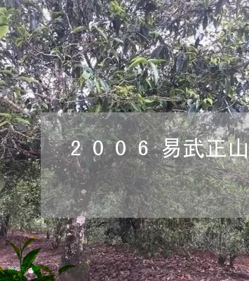 2006易武正山野生茶特级品南峤/2023060422584