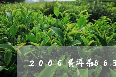 2006普洱茶883/2023062800584