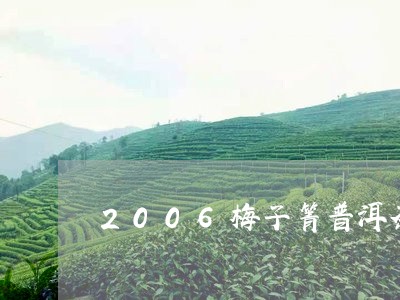 2006梅子箐普洱茶/2023120615261