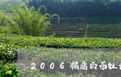 2006福鼎白茶牡丹王/2023092214027