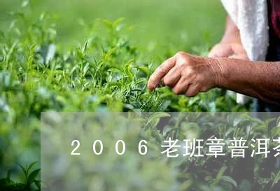 2006老班章普洱茶价格及图片/2023060289503