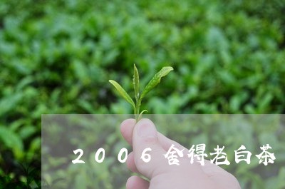 2006舍得老白茶/2023071361494