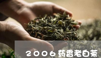 2006药香老白茶/2023071399404