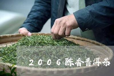 2006陈香普洱茶/2023091487361