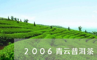 2006青云普洱茶/2023091477601