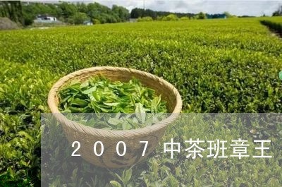 2007中茶班章王/2023042562695