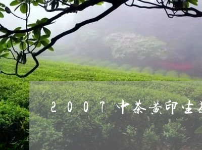 2007中茶黄印生茶/2023092237383