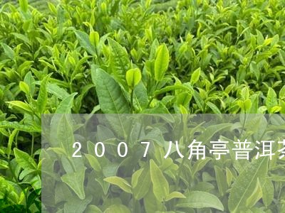 2007八角亭普洱茶/2023061758485