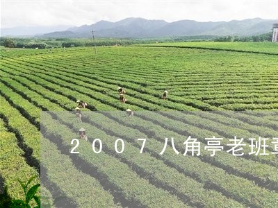 2007八角亭老班章/2023092482615