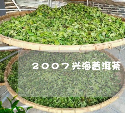 2007兴海普洱茶/2023070934159