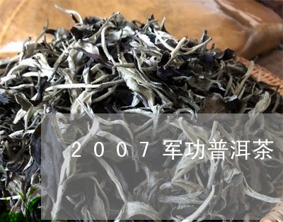 2007军功普洱茶/2023071000602