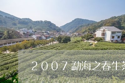 2007勐海之春生茶/2023061085735