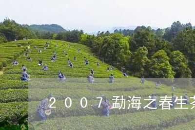 2007勐海之春生茶/2023092147169