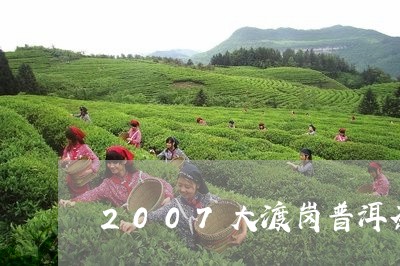 2007大渡岗普洱茶/2023110338392