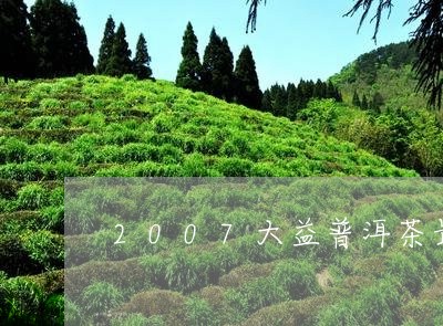 2007大益普洱茶最新价格/2023052700704