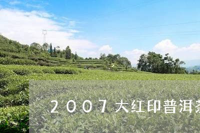 2007大红印普洱茶/2023092888462