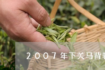 2007年下关马背驮茶什么香气/2023060238593