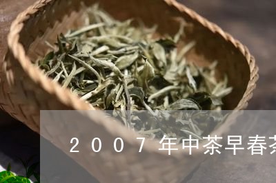 2007年中茶早春茶/2023060918494