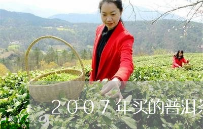 2007年买的普洱茶/2023080296058