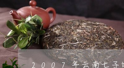 2007年云南七子饼普洱茶/2023052941826