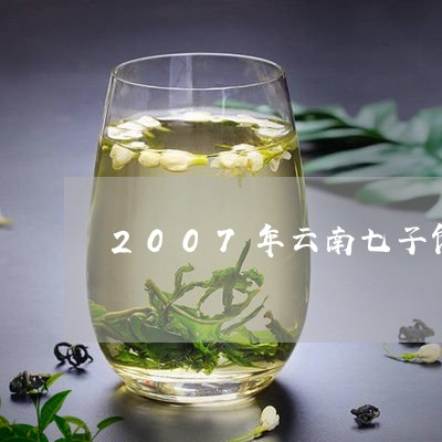 2007年云南七子饼普洱茶价格/2023060288170