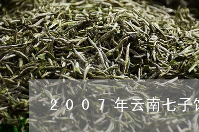 2007年云南七子饼茶价格/2023052748372