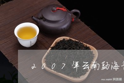 2007年云南勐海普洱茶饼/2023052702945