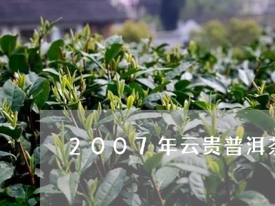 2007年云贵普洱茶/2023100802594