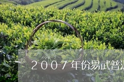 2007年份易武普洱茶熟茶/2023110227259